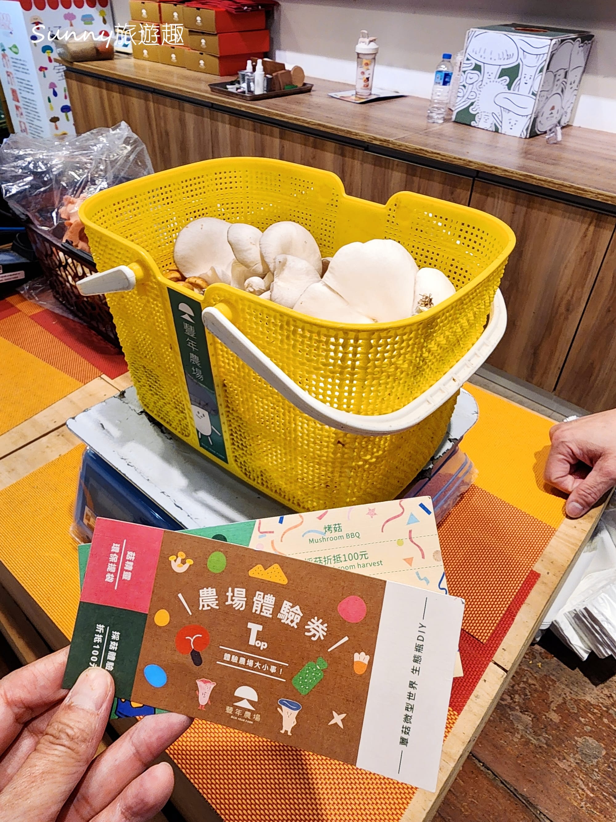 南投埔里豐年農場  採菇體驗