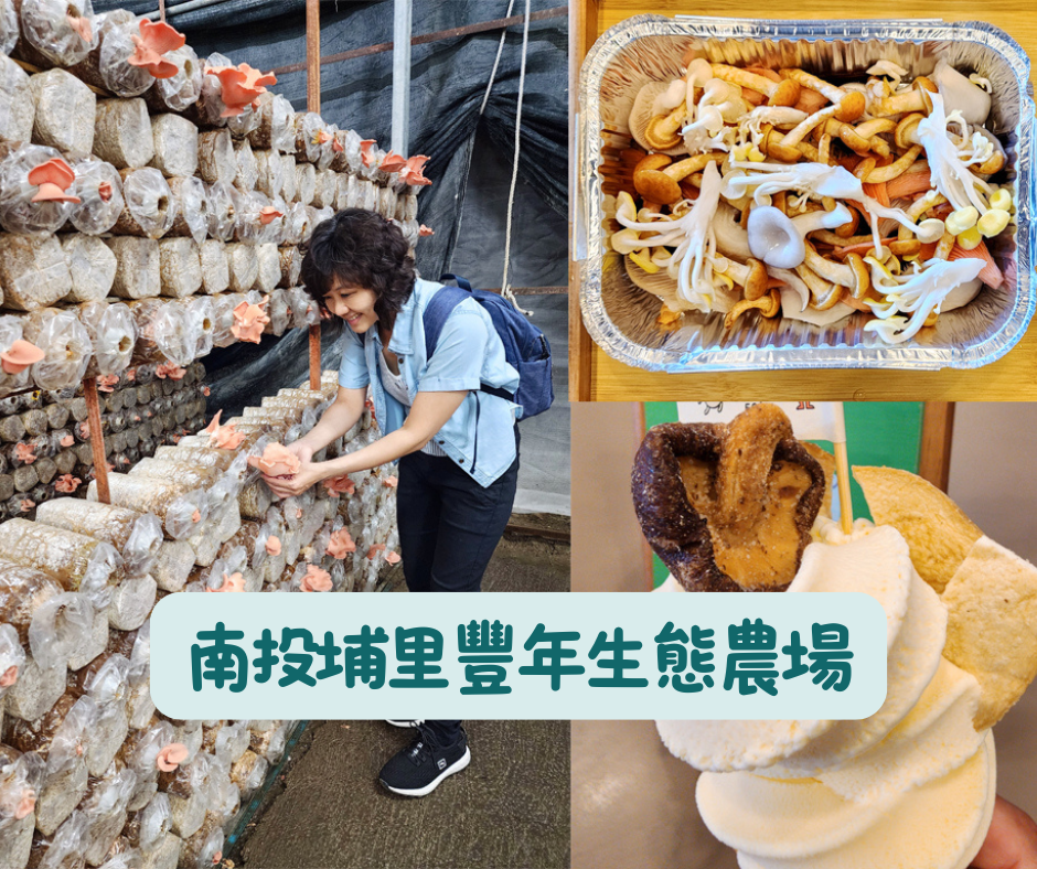 【2026埔里豐年農場】大人也療癒的採菇體驗｜免門票入園、套票比較(含南投一、二日行程推薦)