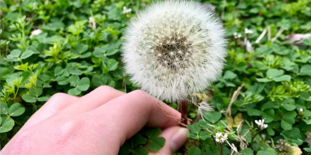 Feature image for Should you invest in stocks, managed funds, or ETFs?