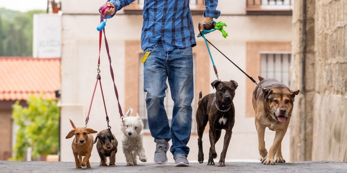 Feature image for 15 clever ways to make more money