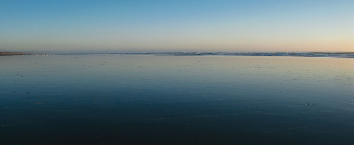 Log in to The Fragile Sea