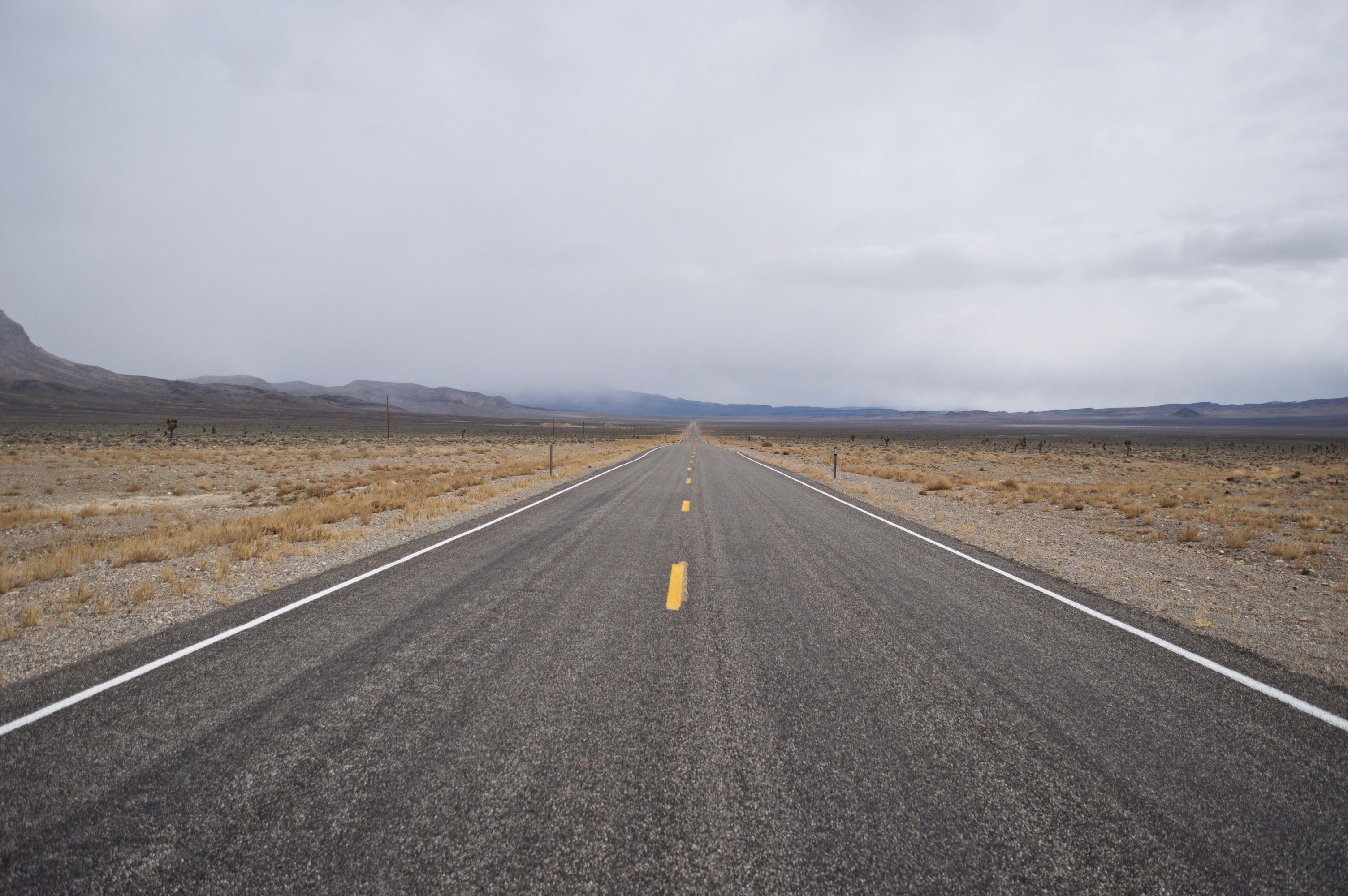 asanaの導入と僕と僕の周りに起きたこと