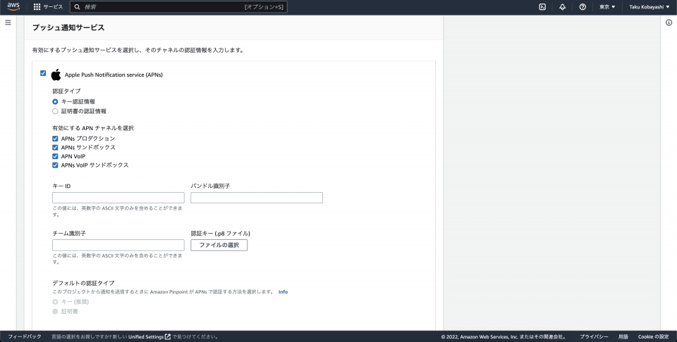amazon-pinpoint-APNs-setup