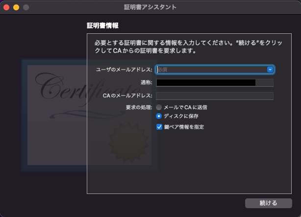 input-assistant-info