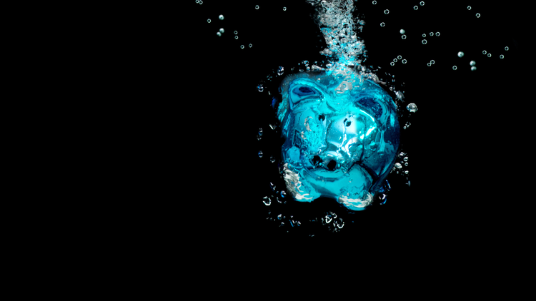 Budgets and Tears: The Salty State of Our Union