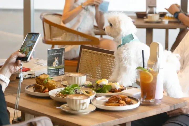 Restaurants with Pet Menus in Singapore: Where Your Dog Can Eat Too (2026)