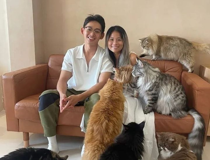 Cat Cafe Singapore: 14 Best Spots & Prices | Pawrenthood
