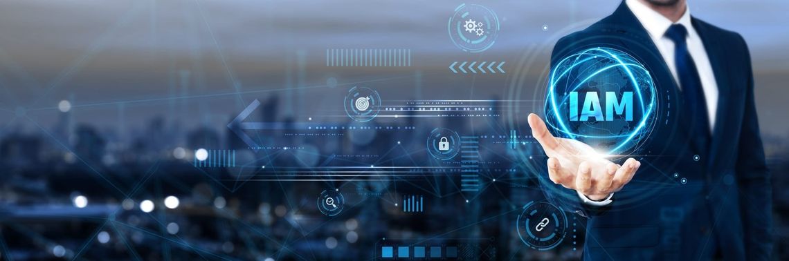 Access Rights and User Governance