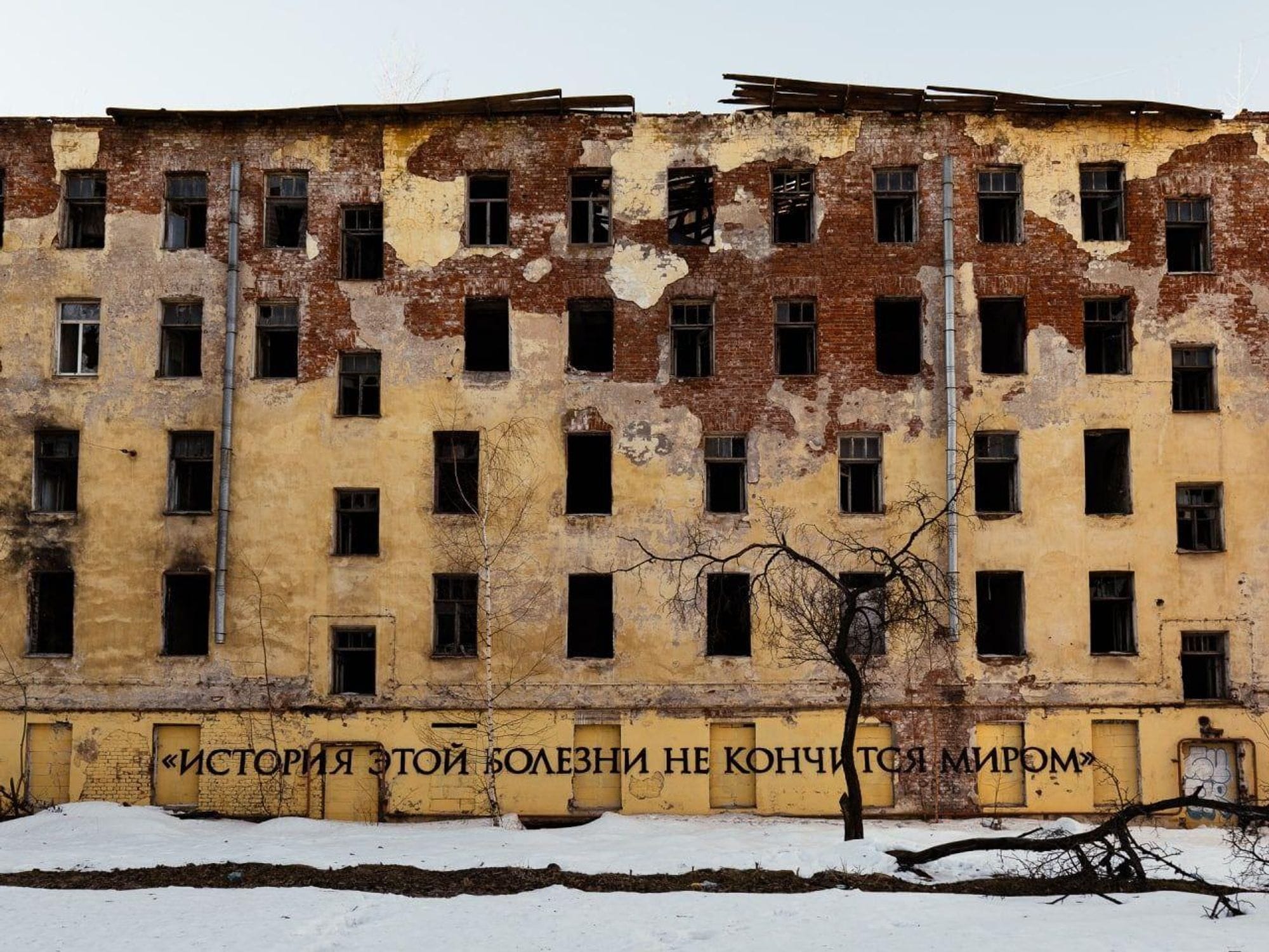 Линор Горалик. Экспозиция с выставки «Все однозначно». Работы арт-группировки Praematerna, «Партии мертвых» и Владимира Абиха