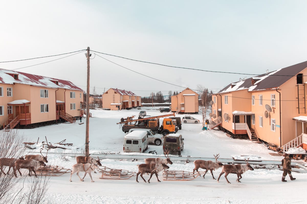 Эвены — оленеводы Якутии. Фотограф Алексей Васильев