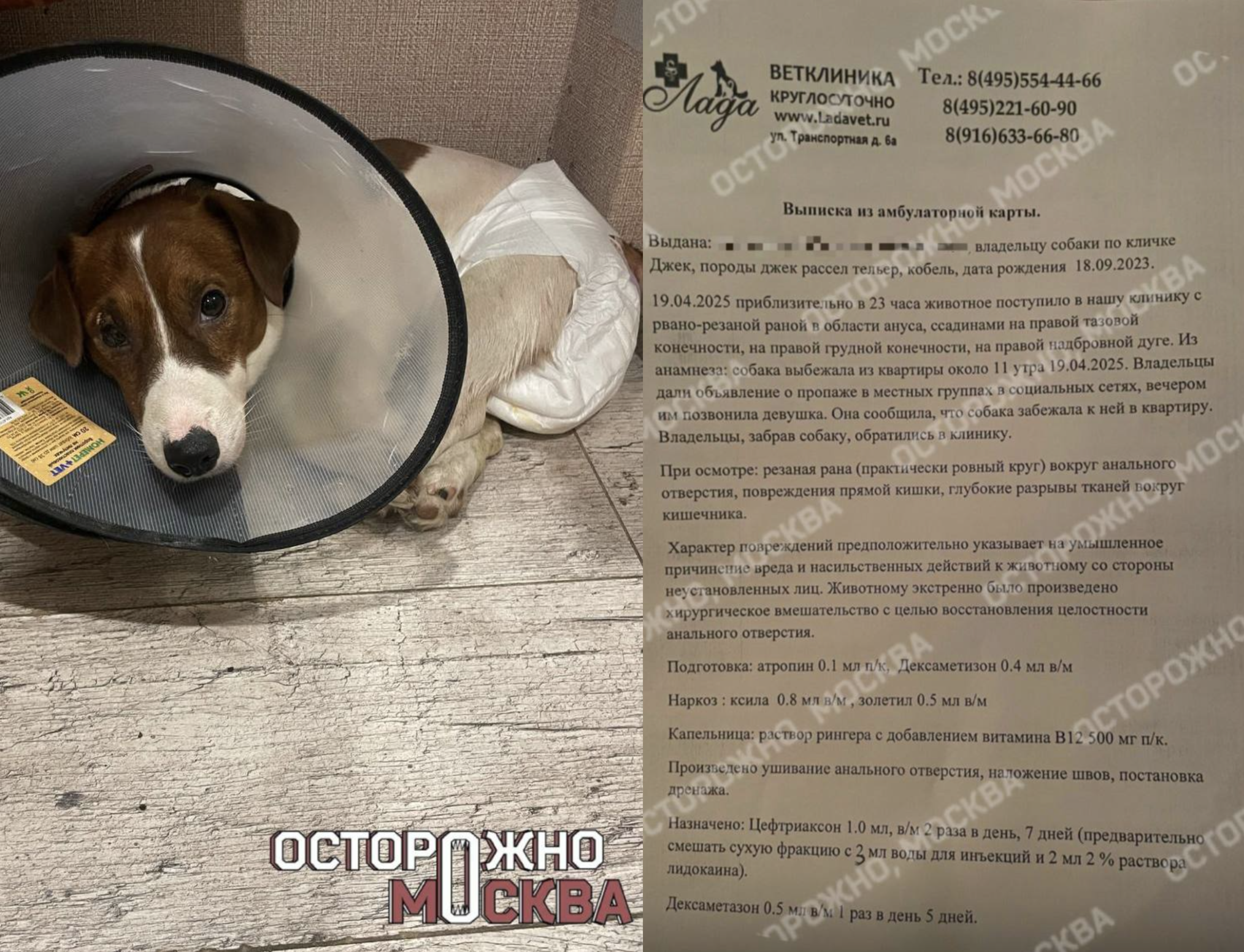 Источник: телеграм-канал «Осторожно, Москва»