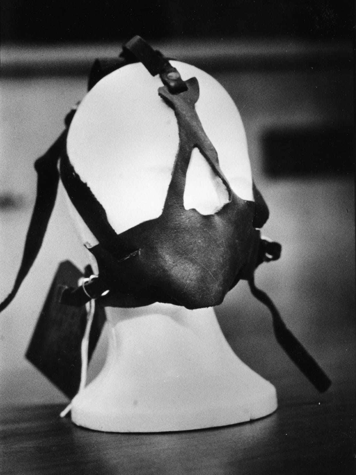 Кожаная упряжка