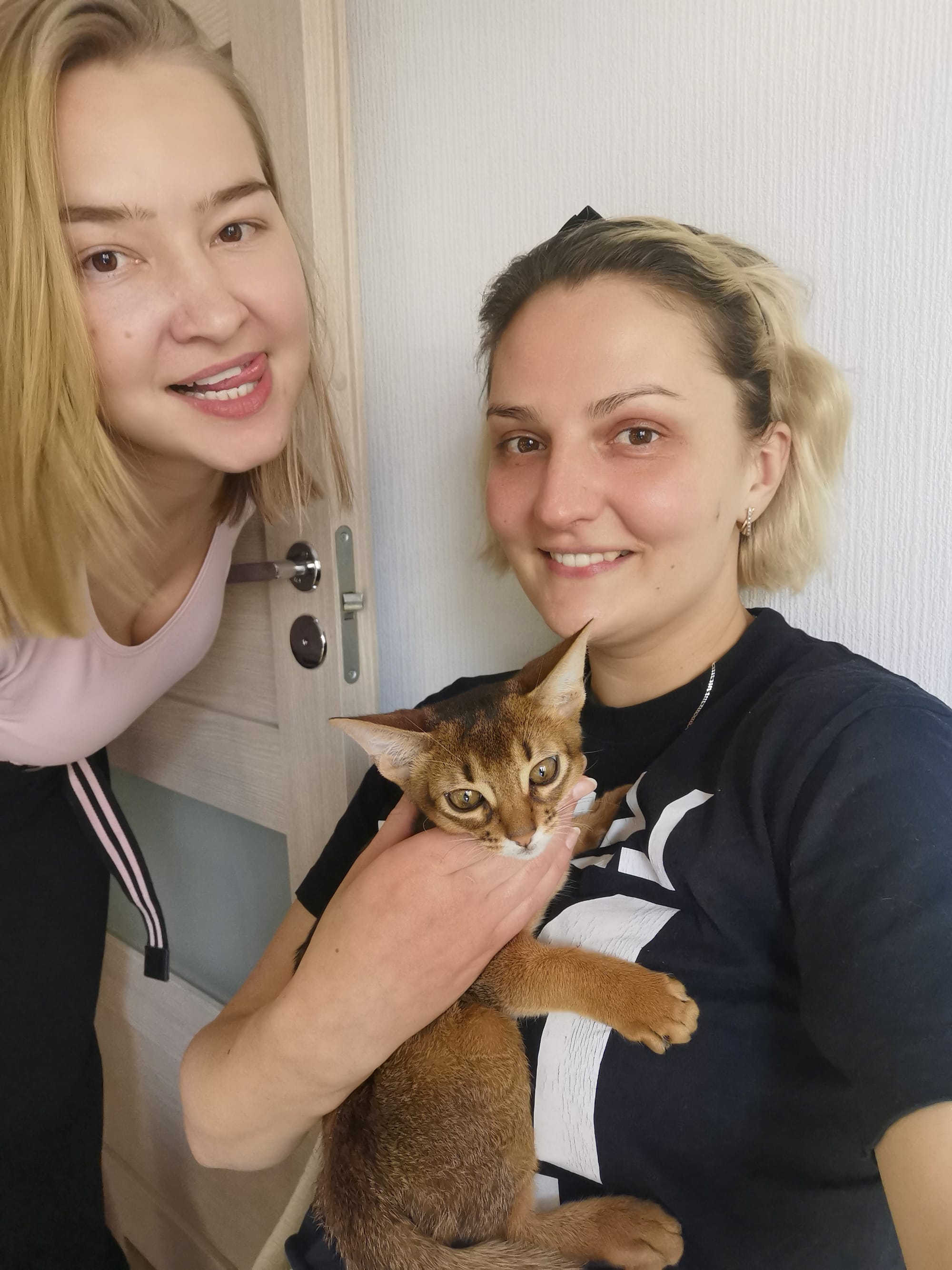 Мы с подругой построили совместный быт и бизнес