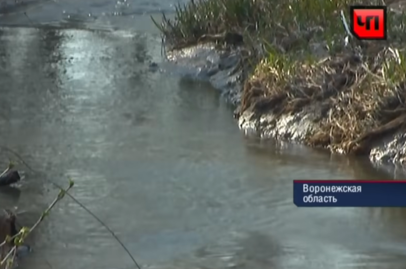 Река Таганка в Воронежской области