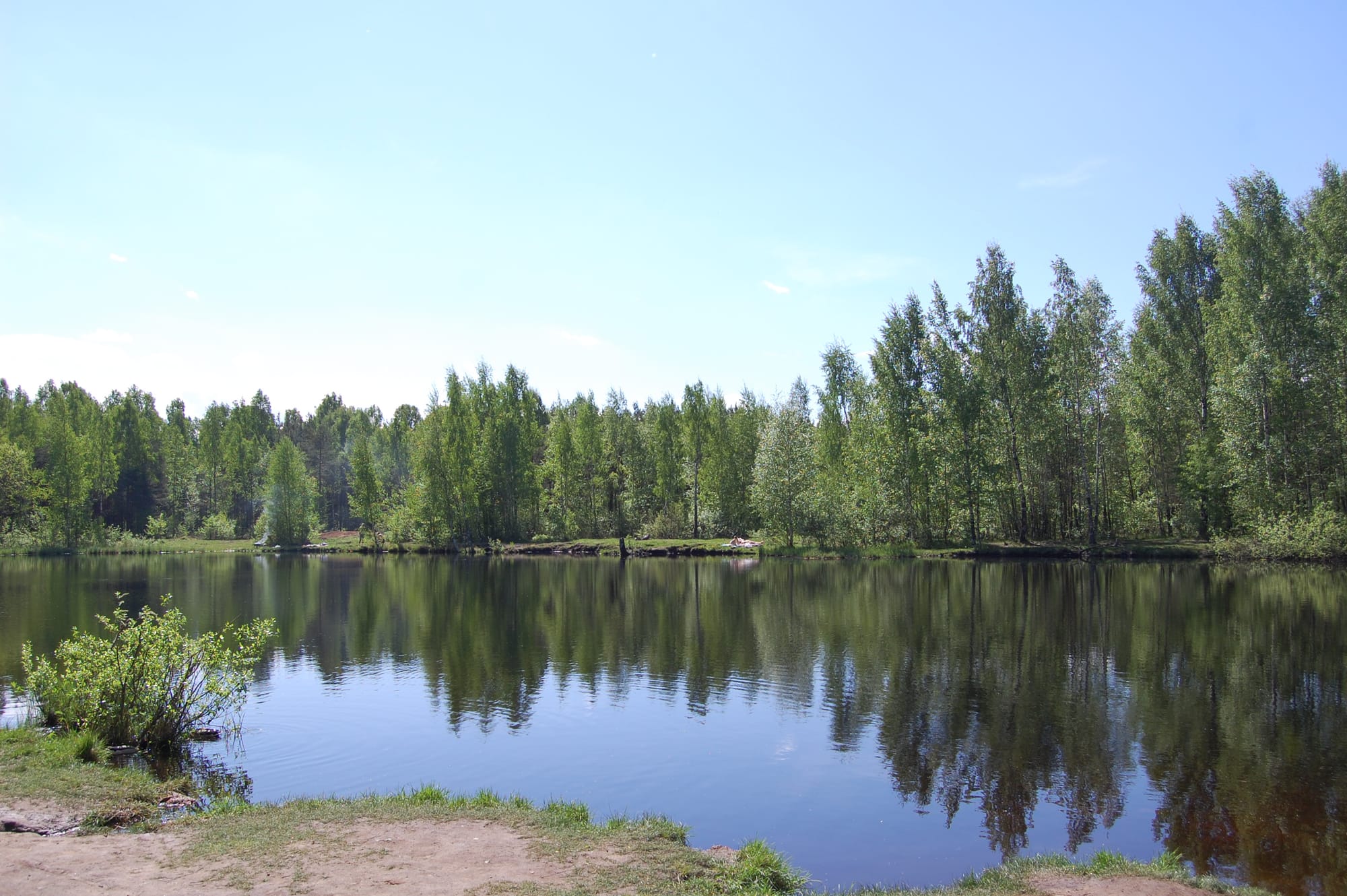 Озеро в Сосновке
