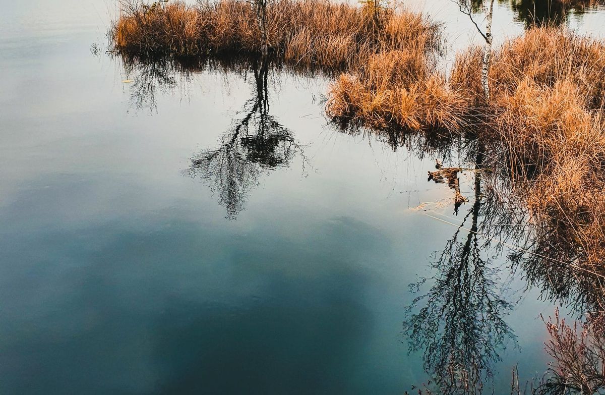 Возле воды, где шумит ветер