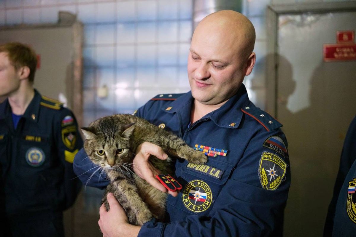Коту присвоили звание прапорщика МЧС