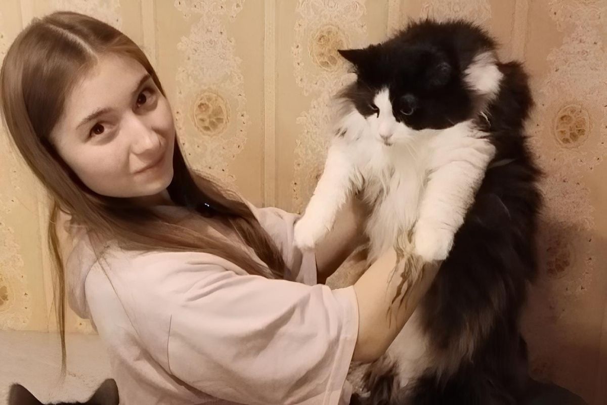 «Кошки все видели»