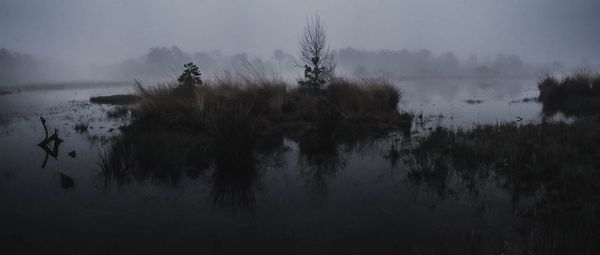 Клюквенная падь