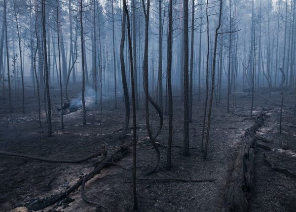 «Все отлично, папа пошел поливать крышу»