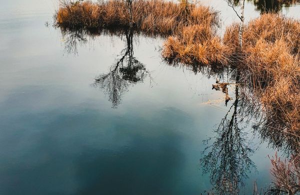 Возле воды, где шумит ветер