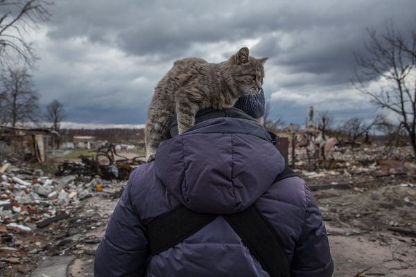 Хроника войны с Украиной. День 52