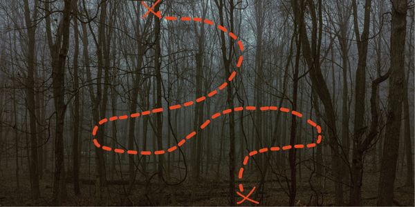 «Шел по лесу и всего боялся»