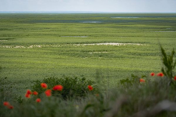 Крупнейший природный эксперимент случайно провели в Украине