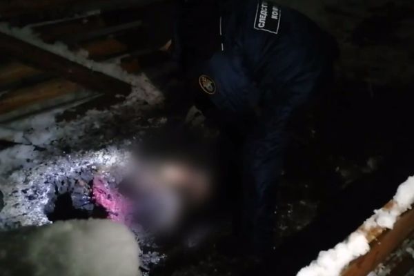 Тела двух девушек нашли в компосте и колодце на участке «Богородского маньяка»
