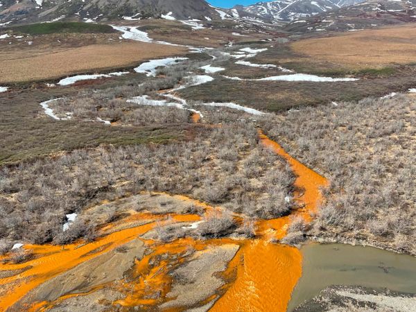 «Ржавые» реки в Арктике поразили ученых