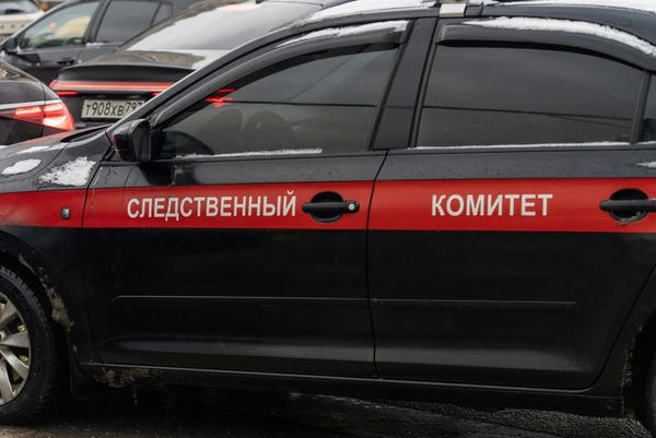 Подросток зарезал спящую мать и спрятал тело в погреб