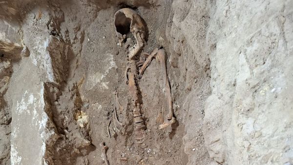 Останки мушкетера д’Артаньяна могли обнаружить в Нидерландах