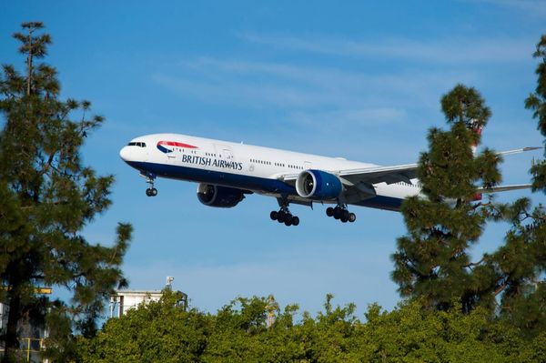 Пассажиры British Airways жаловались на «зловонный запах» от мертвого тела
