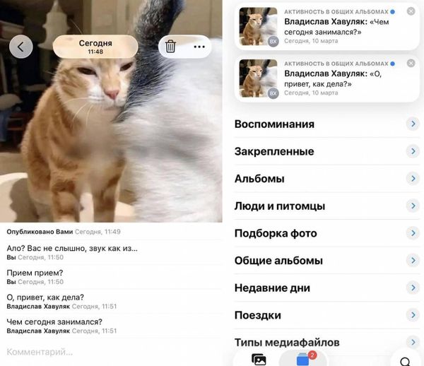 СМИ нашли замену заблокированным мессенджерам