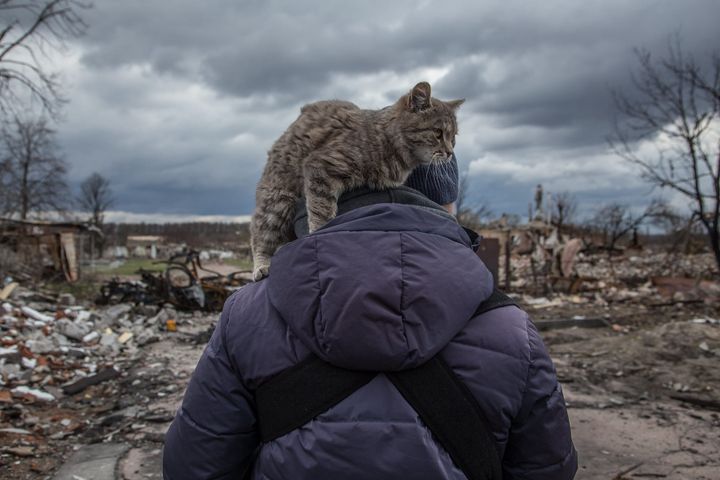 Хроника войны с Украиной. День 52