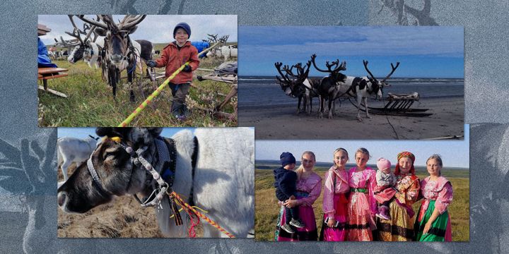 «Олени знают, что скоро наступит конец»