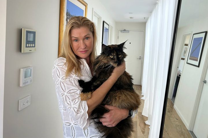 Забытая в самолете кошка совершила три перелета в грузовом отсеке за сутки
