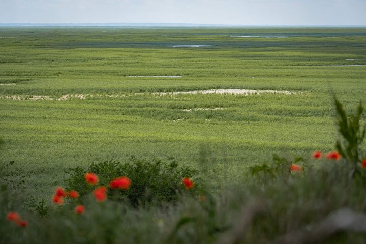 Крупнейший природный эксперимент случайно провели в Украине