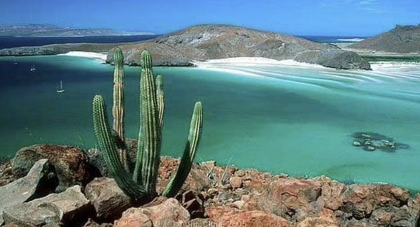 La Baja 2026