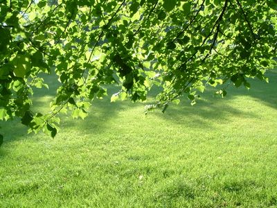 Zooming interfaces in the news