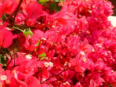 Inside the AS3 Date class: Introduction