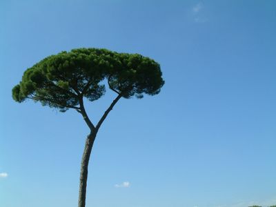 Choosing an AS3 component framework
