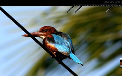 The big idea: We have all the time in the world