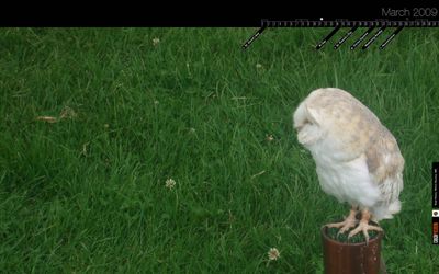 Projects update March 2009