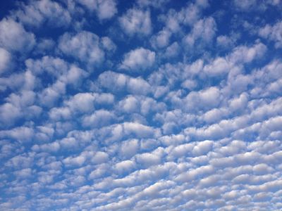 Cloud Hosting for the Long Now