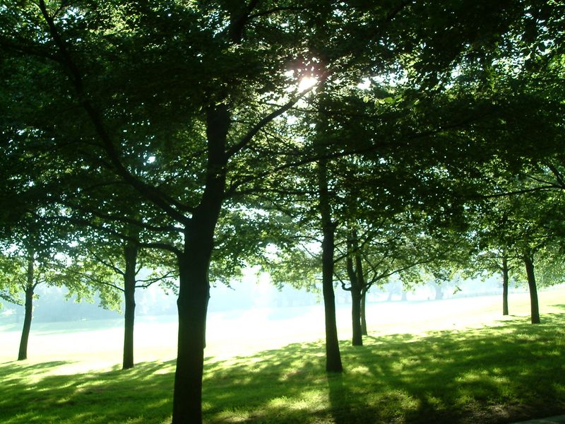 Creating an animated main preloader in Flash CS3