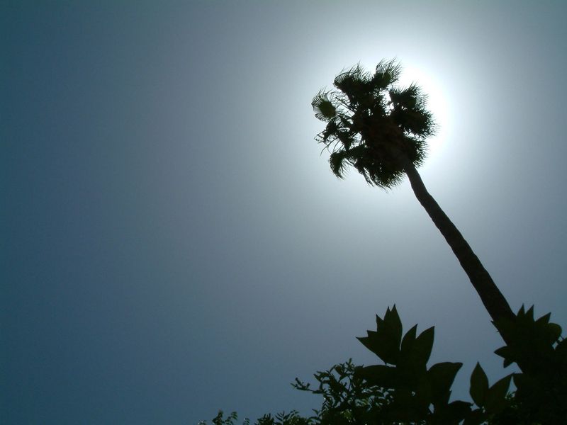 Inside the AS3 Date class: The constructor