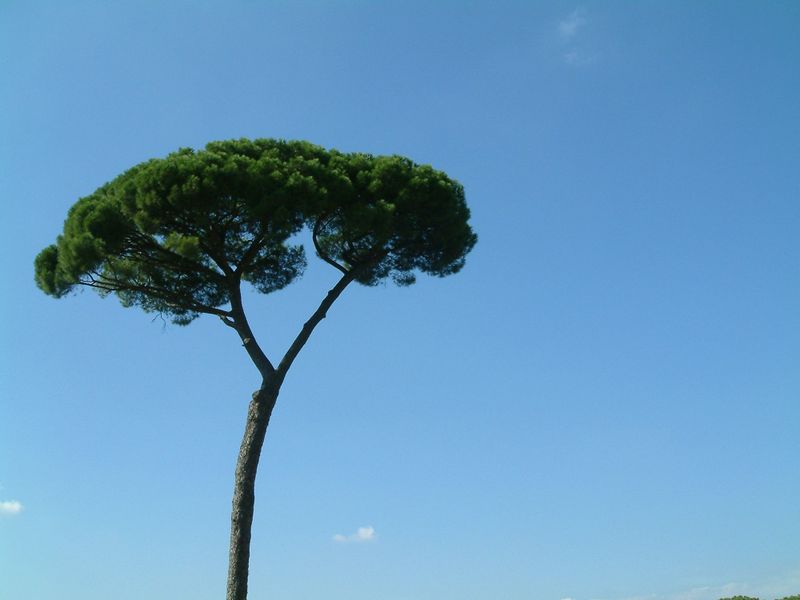 Choosing an AS3 component framework