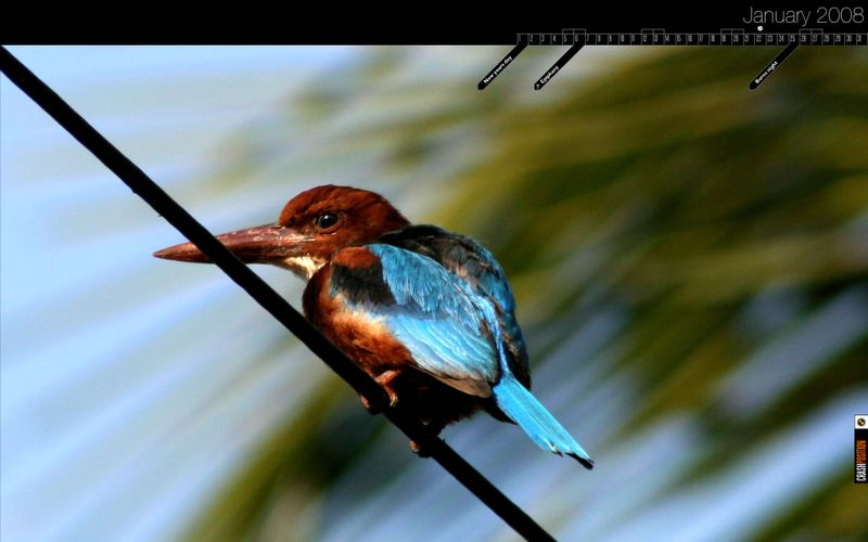 The big idea: We have all the time in the world