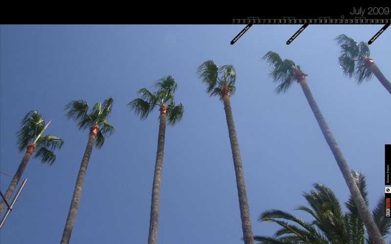 Searching the Digg API with AS3